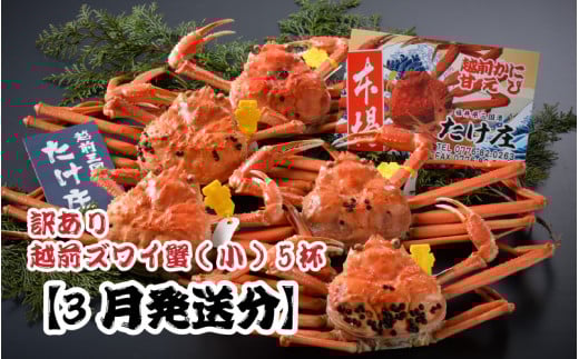【電話連絡で安心】訳あり≪茹で≫越前ズワイ蟹(小) 5杯 【2026年3月発送分】 [J-1605_03]