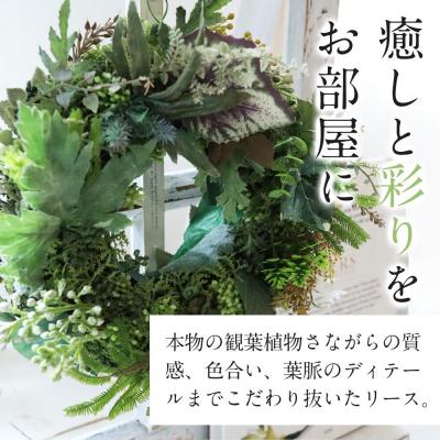 ふるさと納税 名古屋市 ナチュラル グリーンリース |  | 01