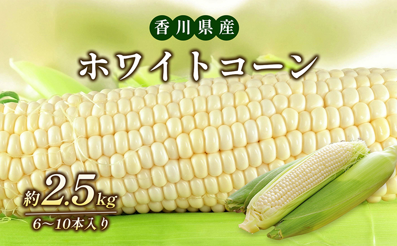 ホワイトコーン 約2.5kg 野菜 とうもろこし 野菜セット 