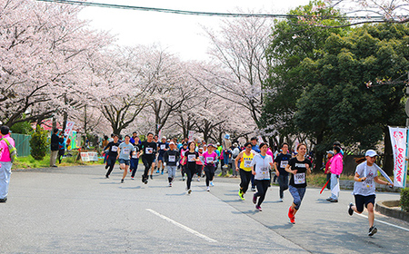 第33回幸手市さくらマラソン大会出走権（駐車券付）（種目：10km） - チケット 券 スポーツ 運動  参加 