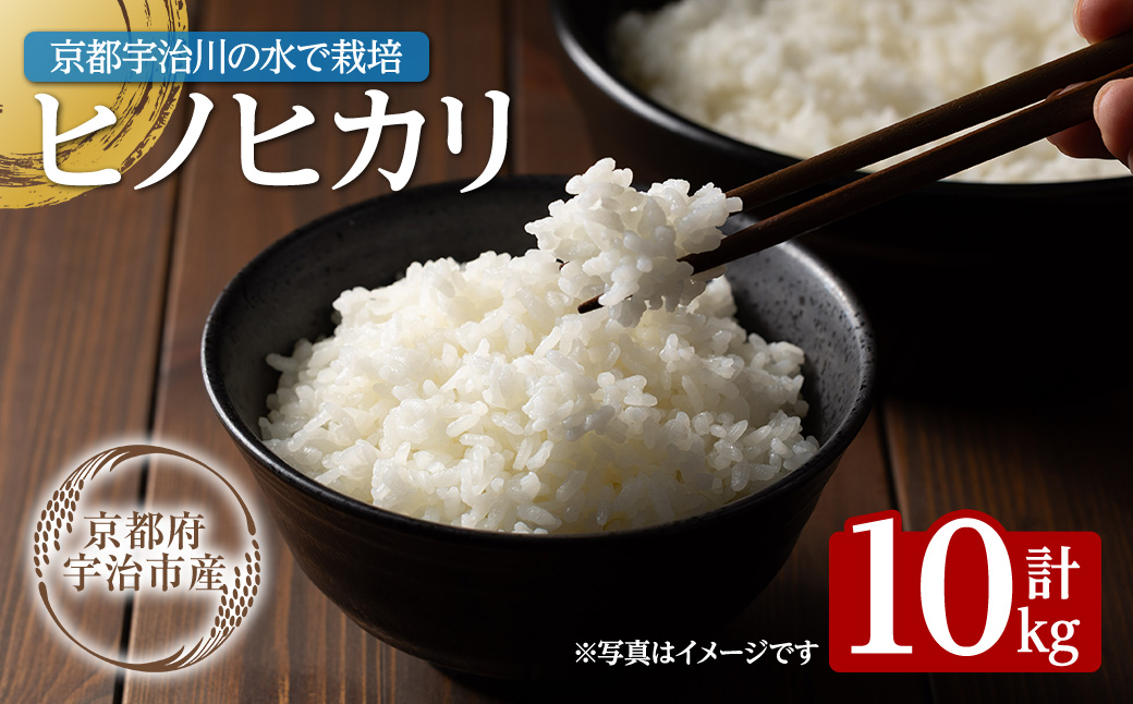 ＜数量限定・宇治市産＞＜令和7年産＞ヒノヒカリ(10kg) 米 10kg ヒノヒカリ 甘み 粘り 噛みごたえ バランス 弁当 京都巨椋池 琵琶湖 宇治川 【uj-FS002】