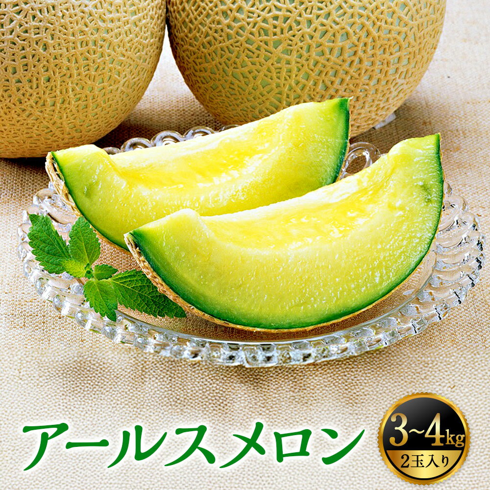 【ふるさと納税】アールスメロン 2玉(約3kg〜4kg) 山形県産【2025年9月発送予定】