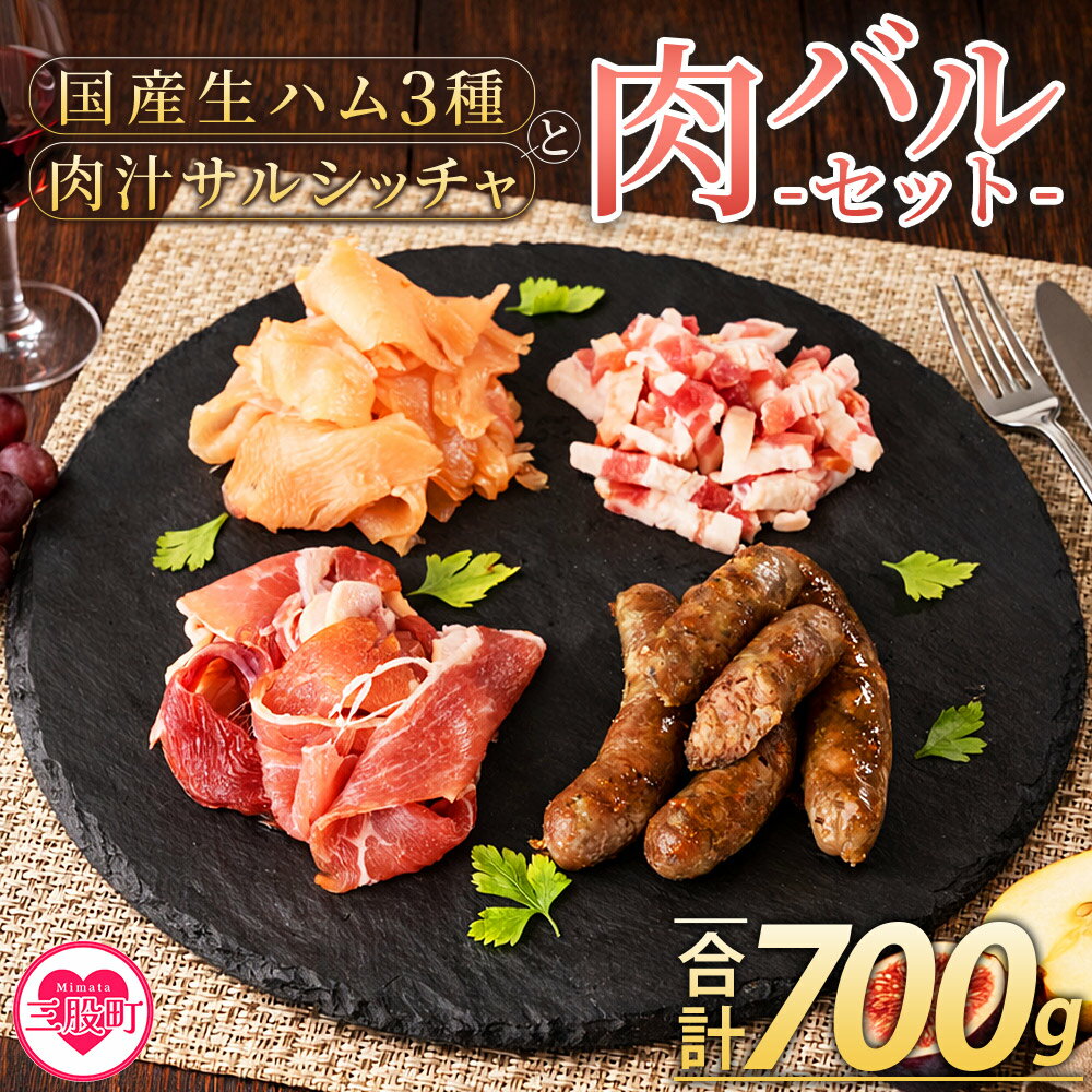【ふるさと納税】＜国産生ハム3種と肉汁サルシッチャ 肉バルセット＞合計700g 国産 サルシッチャ ソーセージ 鶏肉 鶏生ハム 生ハム 豚モモ 豚バラ パンチェッタ サラダ スープ パスタ サンドイッチ おつまみ 晩酌 BBQ セット 詰め合わせ 【MI737-pl】【株式会社プラス】