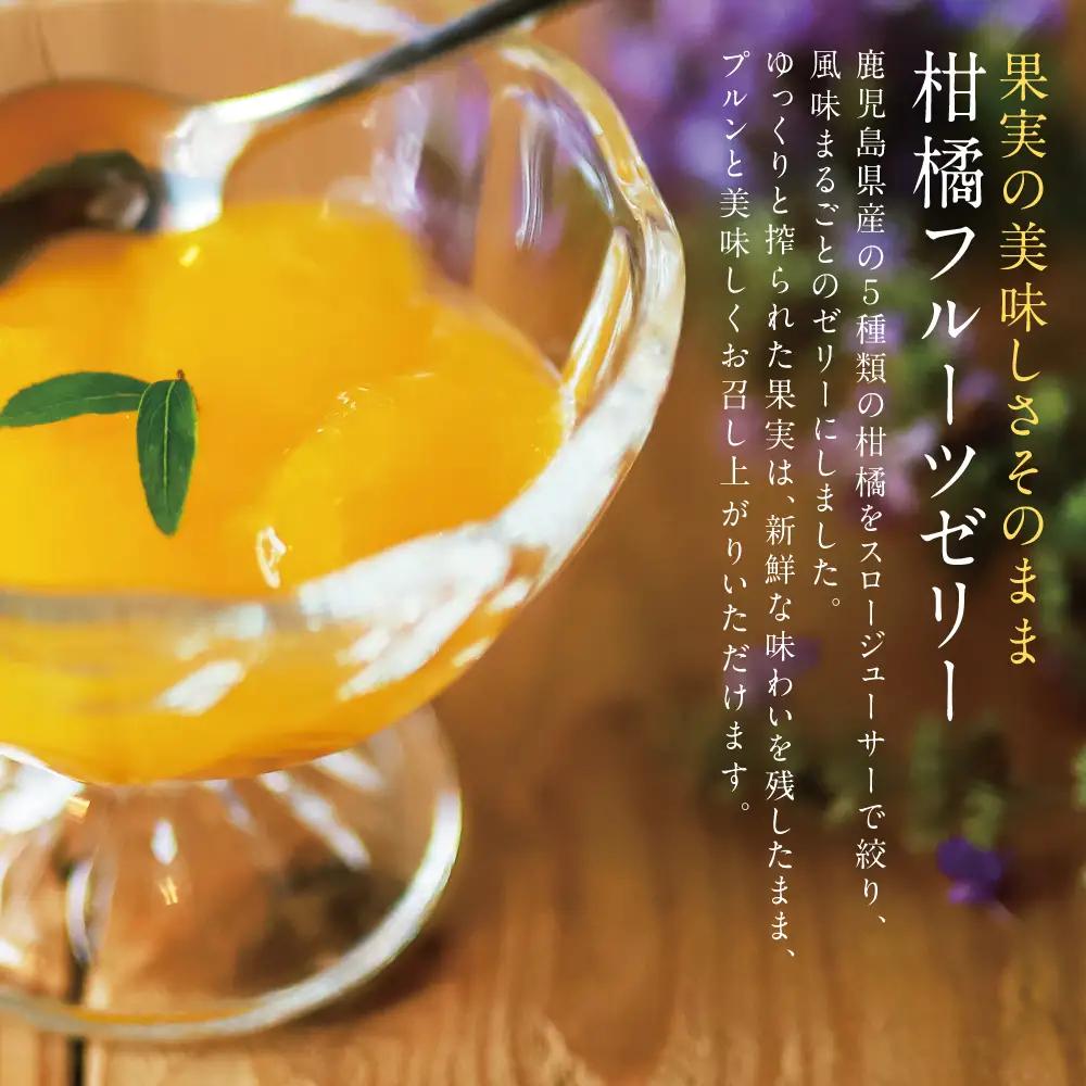 【ふるなびWEEK対象】柑橘フルーツゼリー 詰め合わせ 5種 常温 セット スイーツ お菓子 ギフト 贈り物 贈答用 詰合せ おすすめ お取り寄せ 果物 フルーツゼリー 清木場果樹園 鹿児島 南さつま