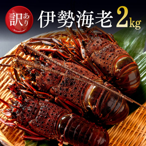 【訳あり】冷凍伊勢海老2kg（3～10尾） 【 伊勢えび 魚介類 いせえび 海産物 訳あり 宮崎県産 国産 】