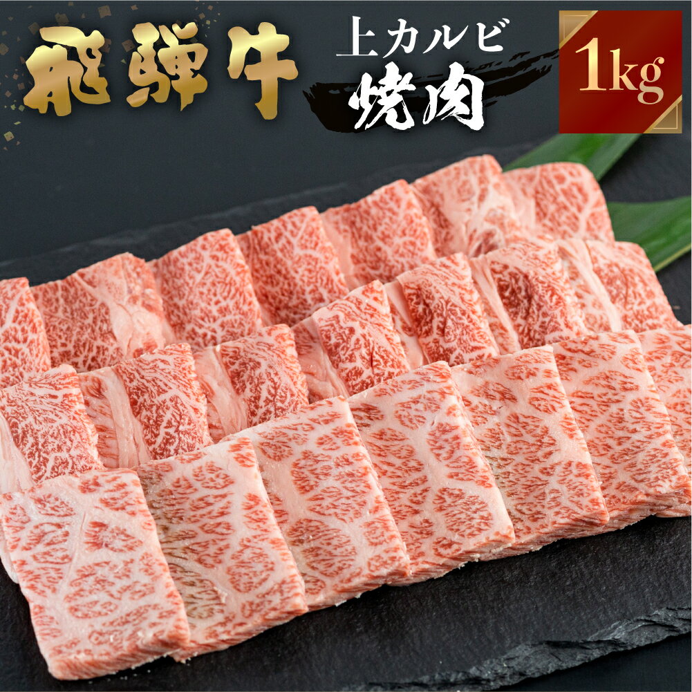 【ふるさと納税】飛騨牛 焼肉用 上カルビ 1kg ( 500g ×2) 焼き肉 焼肉 お中元 お歳暮 霜降り 肉 牛肉 霜降り肉 JA飛騨 BBQ バーベキュー お歳暮 ギフト 飛騨 牛 国産 和牛 黒毛 贈答 ご褒美 誕生日 記念日 ご当地 取り寄せ 40000円 [S447]