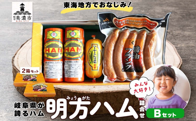 
            [№5308-0018]【9月中旬ごろより順次発送】明方 ハム Bセット ボロニア ソーセージ フランクフルト JA ブランド 高級 豚肉 お肉 国産 熟成 塩分 控えめ 天然 豚腸 バーベキュー BBQ 加工品 お取り寄せ 贈答 ギフト 送料無料 めぐみの農業協同組合 岐阜県 美濃市
          