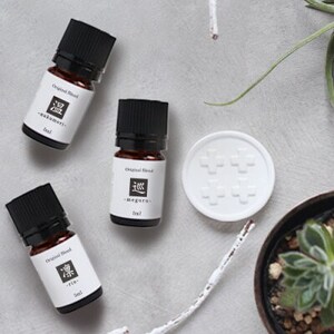 ease12ヶ月のブレンドオイル(5ml×3本)凛・温・巡+アロマストーンMONOセット【配送不可地域：沖縄県】【1423252】