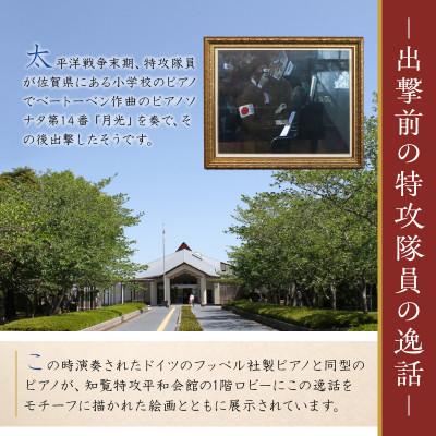 ふるさと納税 南九州市 オルゴール「知覧からのことづて」【鹿児島県川辺仏壇協同組合】 |  | 01