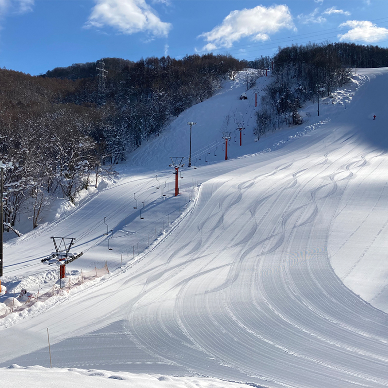 北海道仁木町 寄附のみの応援受付 10,000円コース（返礼品なし 寄附のみ10000円）