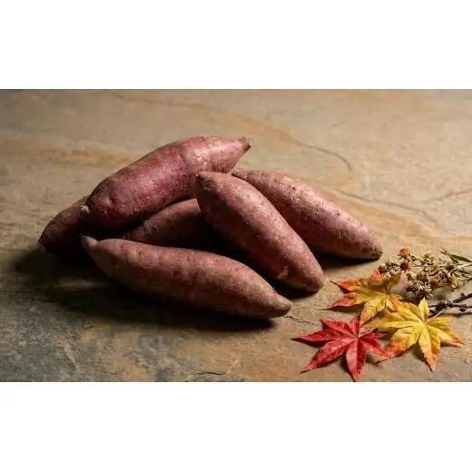 干し芋 べにはるか ＜琥珀干し芋＞  100g×3袋 保存料不使用 人工着色料不使用》 北海道 安平町 【1610067】