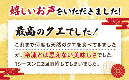 【数量限定】【訳あり】天然クエ鍋セット 切り身約300g しゃぶしゃぶ用約200g ＜大瀬戸町漁業協同組合＞ [CAR006]