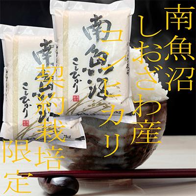 ふるさと納税 南魚沼市 【毎月定期便】生産者限定 契約栽培 南魚沼しおざわ産コシヒカリ 精米4Kg全6回