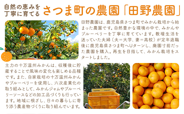 十万みかん ソース 170g 選べる 4本 6本 田野農園《30日以内に出荷予定(土日祝除く)》鹿児島県 さつま町 みかん 蜜柑 柑橘 果物 くだもの フルーツ ジューシー 送料無料