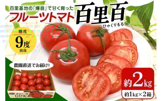 【数量限定 先行予約】【2024年1月以降出荷予定】 爆音トマトと呼ばれるフルーツトマト「百里百」 2kg 甘い 酸味 肉厚 大玉 産地直送 とまと 健康 リコピン 百里基地 戦闘機 国産 茨城県 小