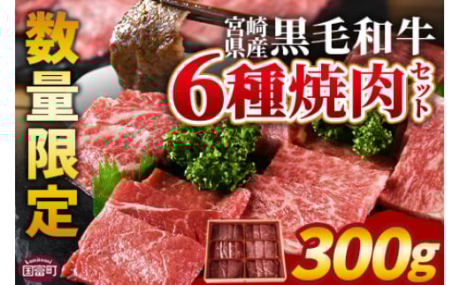 ＜宮崎県産黒毛和牛(経産)6種焼肉セット 300g＞入金確認後、1か月程度で出荷 【 国産 黒毛和牛 牛肉 牛 精肉 焼き肉 焼肉 サーロイン リブロース 肩ロース ウデ モモ バラ 贈答品 ギフト 贈り物 グルメ ミヤチク 宮崎県 国富町 】