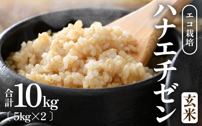 
                  【先行予約】【令和8年産 新米】【一等米】 エコ栽培ハナエチゼン 玄米10kg （5kg×2袋） ／ 鮮度抜群 福井県産 はなえちぜん ご飯 新鮮 玄米 ※2026年9月上旬以降順次発送予定 [aw063-a025]
                