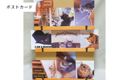 高槻ねこの会謹製【保護猫応援!】グッズセット(ポーチMLタイプ)オリジナルポストカード・手作りアクリルたわし入り　大阪府高槻市/高槻ねこの会・ねこのおうち[AOBR011] [AOBR011]