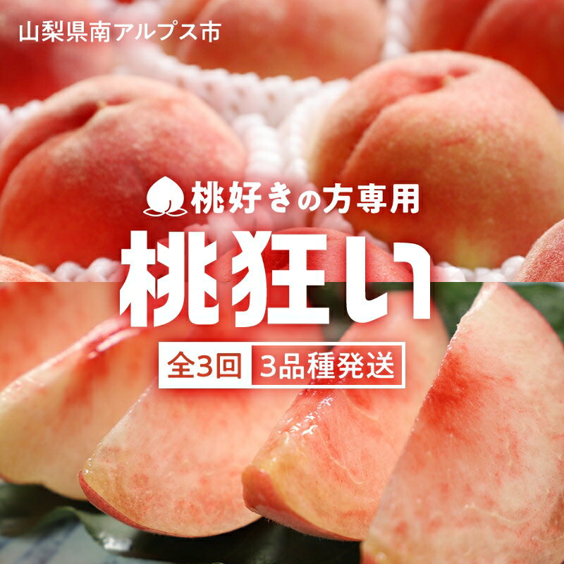 【ふるさと納税】 ＜2025年発送分先行予約＞山梨県南アルプス市産　桃狂い　【旬の桃3種】　旬を迎えた順から発送　【定期便　約1kg　全3回】 ふるさと納税 桃 もも フルーツ定期便 定期便 果物 フルーツ おすすめ 山梨県 南アルプス市 送料無料 ALPAH022