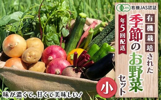 《有機JAS認証》 オーガニック 季節のお野菜が届く定期便（小） 年5回配送  野菜 セット 詰め合わせ 詰合せ 食品 F23R-940