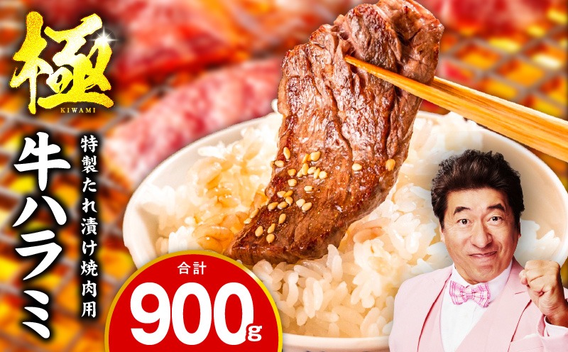 mrz0422 【スピード発送】牛肉 ハラミ 900g 小分け 300g×3P【氷温熟成×特製ダレ 味付き 牛肉 訳あり 不揃い 焼肉 BBQ 野菜炒め】
