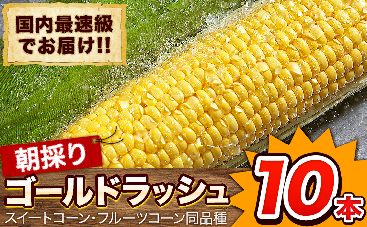 日本最速級出荷 朝採り ゴールドラッシュ 10本入り 3L-Lサイズ 《6月上旬- 6月末頃出荷》  とうもろこし トウモロコシ---oz_cgrdr_ac6_r7_11000_10p---