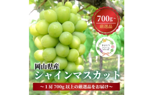 ＜厳選品＞大粒シャインマスカット1房 700g～ (岡山県産) 果樹園厳選のシャインをお届け!_シャインマスカット ぶどう 葡萄 ブランド葡萄 種なし 大粒 700g 1房 厳選 果物 フルーツ 岡山県 津山市 送料無料 贈答 ギフト【1548995】