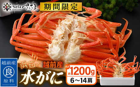 【期間限定】浜茹で 越前産 水がに 1200g（6～14肩） 脱皮したてのずわいがに【福井県 越前町 かに カニ 蟹 ずわいがに ズワイガニ 雄 ズボガニ 水ガニ かに足  冷蔵 越前ガニ 越前かに 越前カニ】【2026年2月20日以降 順次発送予定】 [e04-x027]