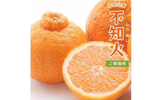 【先行予約】＜2月より発送＞家庭用不知火5kg+250g（傷み補償分）＜2月より発送＞デコポンと同品種 人気の春みかん 光センサー食頃出荷 訳あり わけあり 【ikd163C】