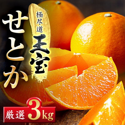 【ふるさと納税】「玉宝ブランド」【せとか】3kg【C64-47】_ みかん せとか 蜜柑 ミカン 愛媛 柑橘 かんきつ 愛媛みかん 果物 くだもの フルーツ 果実 青果 デザート おいしい 3kg 1箱 産直 産地直送 愛媛県 国産 送料無料 【1511359】