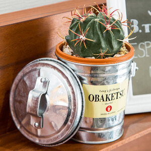 ミニオバケツ　0.35L 10個　バケツ おしゃれ  日本製 リビング キッチン 園芸 全色セット(シルバーのみ2個)