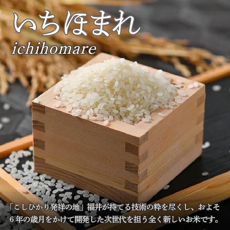 【令和7年産】定期便3回 いちほまれ 精米 10kg×3回（計30kg）《お米マイスターが発送直前に精米！》／ 福井県産 ブランド米 ご飯 白米 新鮮 [aw064-h005]