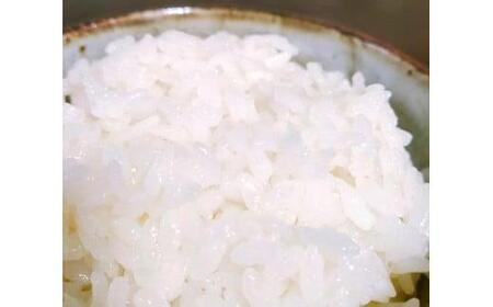 【 6ヶ月定期便 】【京都 農家直送】ヒノヒカリ 8kg × 6回 精米（米 精米 ヒノヒカリ ひのひかり 定期便 ヒノヒカリ こめ コメ ごはん 京都 ヒノヒカリ 宇治田原 ヒノヒカリ ）