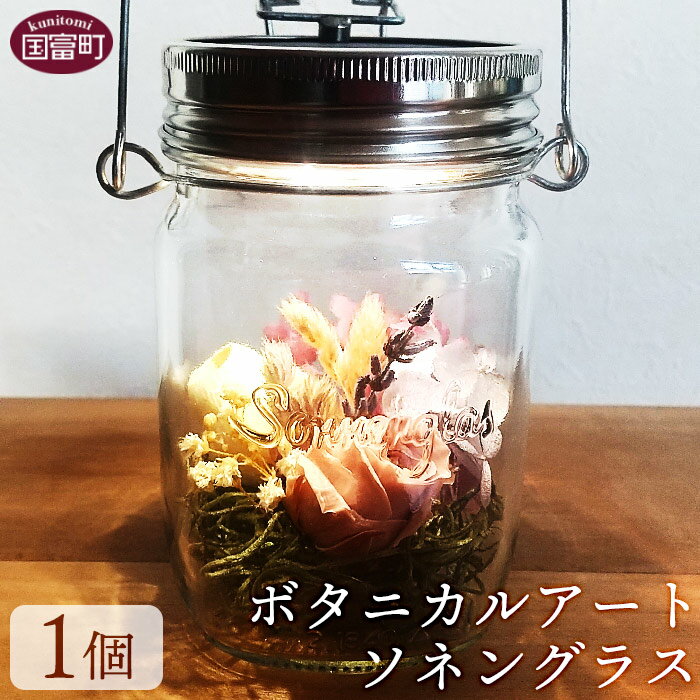 【ふるさと納税】＜ボタニカルアート ソネングラス＞※入金確認後、翌月末迄に順次出荷 インテリア アウトドア 雑貨 SONNENGLAS 正規販売 ソーラー LED ランプ ランタン ライト 照明 防災グッズ 耐水 防塵 SDGs AYUR TREE 宮崎県 国富町 0348_at_x3【常温】