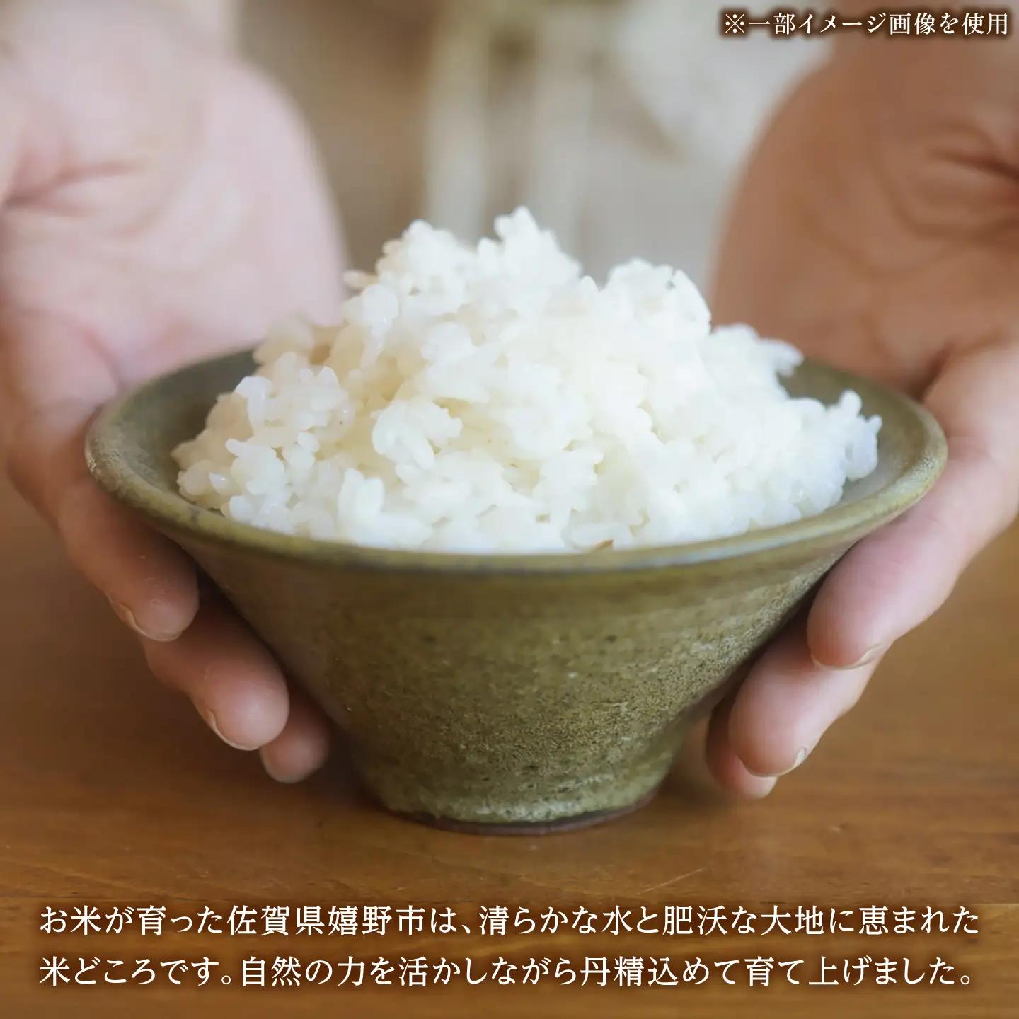 令和7年産 ゆめしずく5kg 白米 / 佐賀県 白米 [41AGAC002]