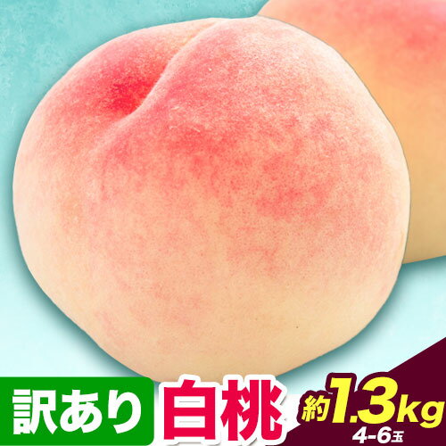 【ふるさと納税】 【2026年先行予約】訳あり 白桃 桃 1.3kg ハレノフルーツ （犬塚農園） 《2026年6月末-8月中旬頃出荷》岡山県 浅口市 フルーツ モモ 果物 青果 旬 おかやま夢白桃 白麗 白鳳 清水白桃 なつごころ 加納岩白桃 ご家庭用【配送不可地域あり】