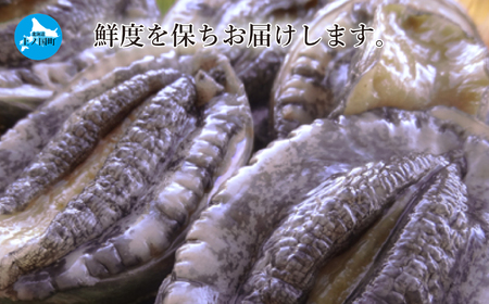 北海道産 上ノ国町 海洋牧場育ち養殖活蝦夷あわび（7㎝以上×6個）　活アワビ　鮑　海鮮　産地直送　魚介類　海の幸　おせち食材　エゾアワビ　冷蔵