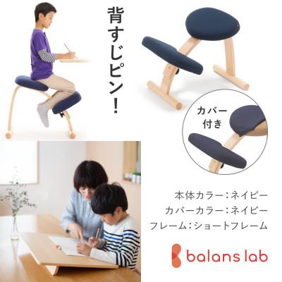ふるさと納税 美濃市 バランスイージー ショート[ネイビー]カバー付+イージーライティングボードL【複数個口で配送】