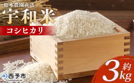 ＜令和7年産 松本農園直送 宇和米（コシヒカリ）約3kg＞ こしひかり 米 コメ こめ 白米 精米 うわまい ウワマイ ご飯 新鮮 3キロ お弁当 朝 昼 夜 国産 特産品 愛媛県 西予市【常温】『2025年9月下旬～12月下旬迄に順次出荷予定』