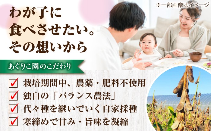 大豆 だいず ダイズ ユキホマレ 乾燥大豆 豆 まめ 手作り味噌 煮豆 節分
