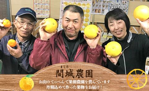 【先行予約】土佐文旦 約3kg（2L～4Lサイズ）- 期間 数量限定 果物 くだもの フルーツ 柑橘類 果実 ぶんたん ブンタン 美味しい フレッシュ ジューシー 果汁 間城農園 3キロ ザボン ボン