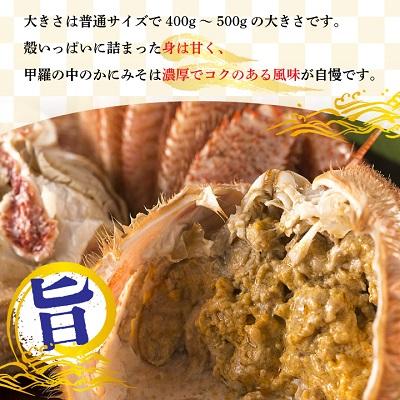ふるさと納税 稚内市 【ボイル済み急速冷凍】身がぎっしりと詰まった毛ガニ2尾セット(400g〜500g×2尾) |  | 03