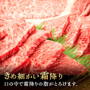伊賀牛 BBQ セット 赤身 カルビ 800g 伊賀牛