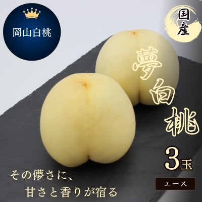 2026年予約受付　岡山県産　夢白桃　3玉(エース)【配送不可地域：離島】【1672001】