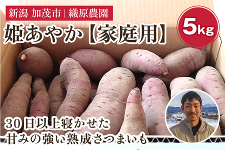 新潟県 加茂市産 姫あやか 【家庭用】 5kg 《順次発送》サツマイモ 訳あり 家庭用