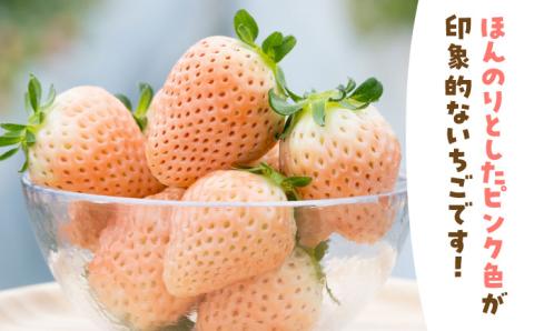 【先行予約】【農家直送】【化粧箱入り】ほんのりピンクな白いちご希少「淡雪」【岸川農園】イチゴ [IAP004]