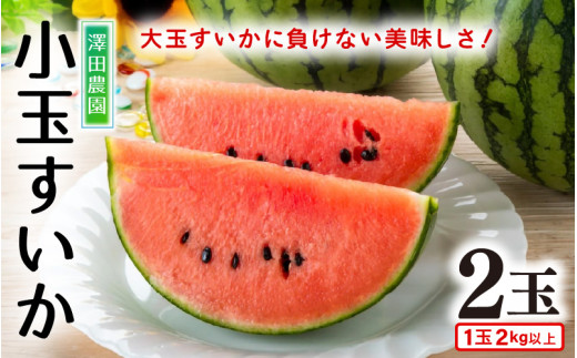 【先行予約】小玉すいか 愛娘(まなむすめ) 2kg以上 2玉入 ＜大玉のようなシャリ感！皮際まで抜群に甘い＞ / 期間限定 果物 フルーツ 産地直送 スイカ 小玉スイカ ※2026年6月上旬より順次発送 [aw039-a001]