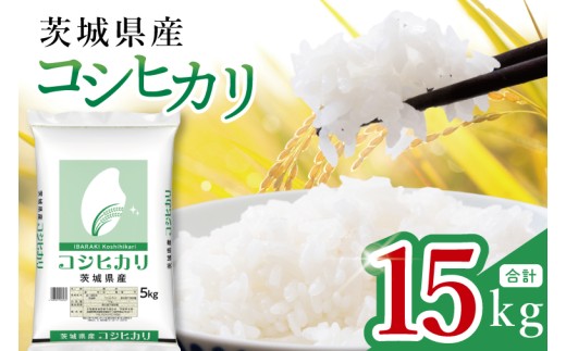 【数量限定】茨城県産 コシヒカリ15kg（5kg×3袋）【お米 ごはん こしひかり おにぎり ごはん 茨城県 水戸市】(JB-17)