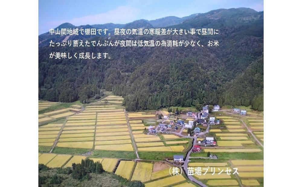 【定期便】魚沼コシヒカリ　苗場プリンセス　特別栽培米　農薬化学肥料５割減　玄米（30kg）×12回　合計360kg
