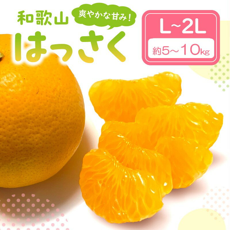 【ふるさと納税】爽やかな甘み！　和歌山はっさく 約5kg 約10kg ≪先行予約2026年3月頃より順次発送予定分≫ ふるさと納税 みかん 蜜柑 フルーツ 果物 期間限定 先行予約 ふるさと納税 はっさく 八朔